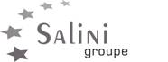 Groupe Salini