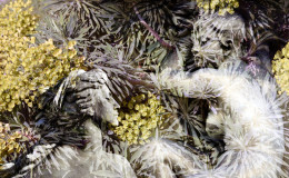 Desir_fleuri_Hv_600x900-72dpi